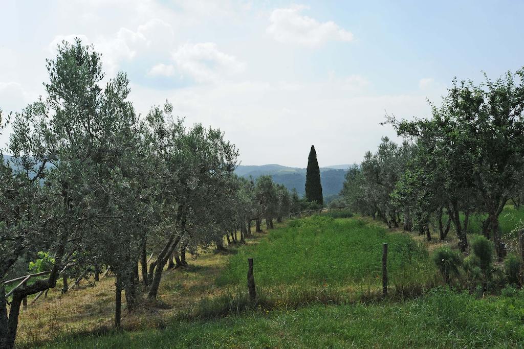 Villa Borgo Rapale Exterior foto